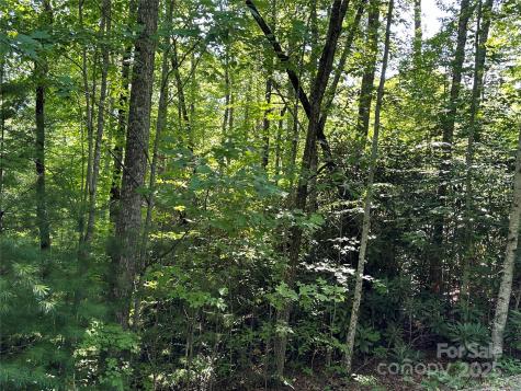 67 Peppervine Circle Rosman NC 28772