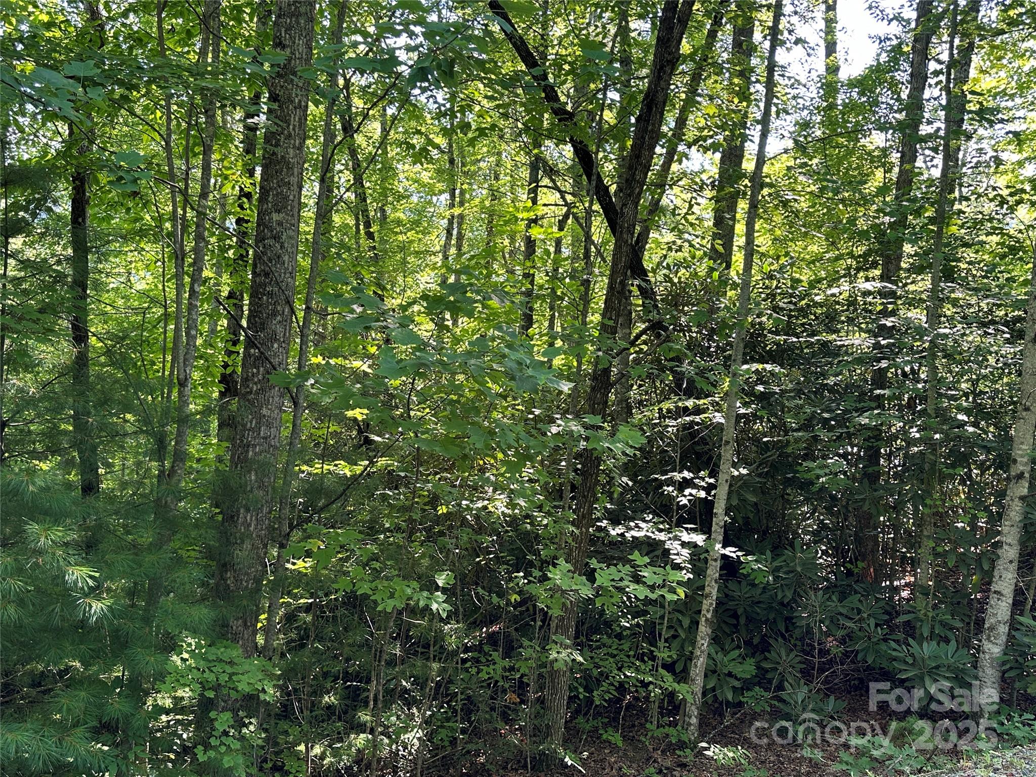 67 Peppervine Circle Rosman NC 28772