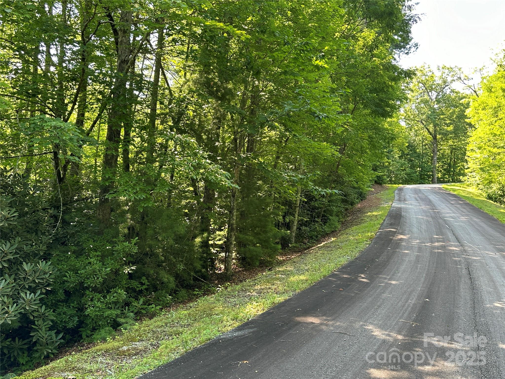 67 Peppervine Circle Rosman NC 28772