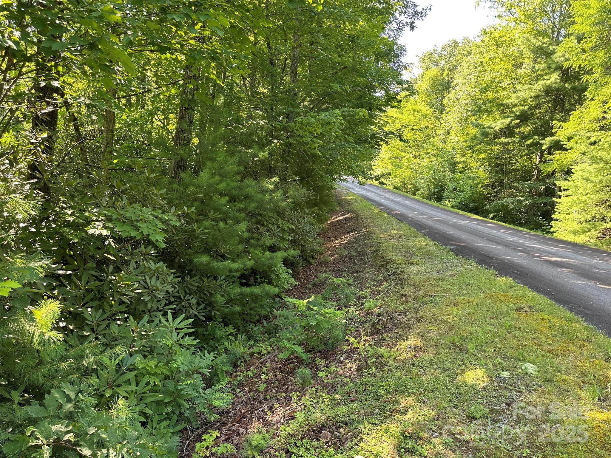 67 Peppervine Circle Rosman NC 28772