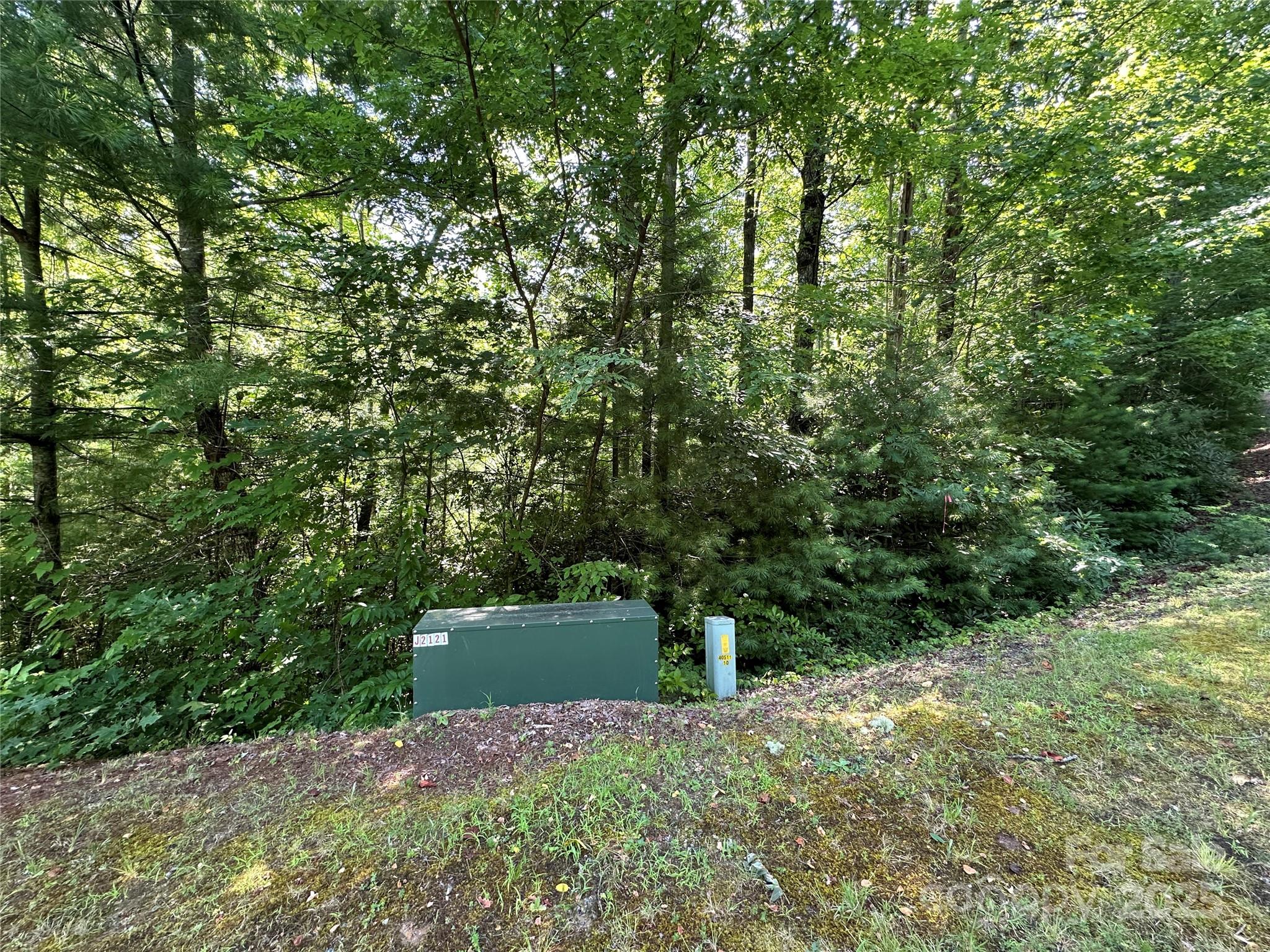 67 Peppervine Circle Rosman NC 28772