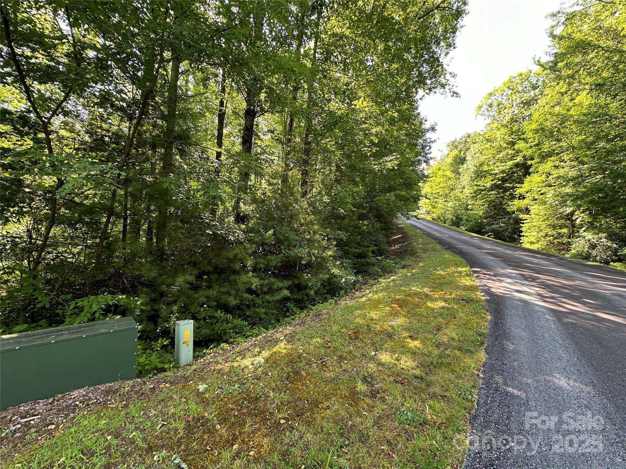 67 Peppervine Circle Rosman NC 28772