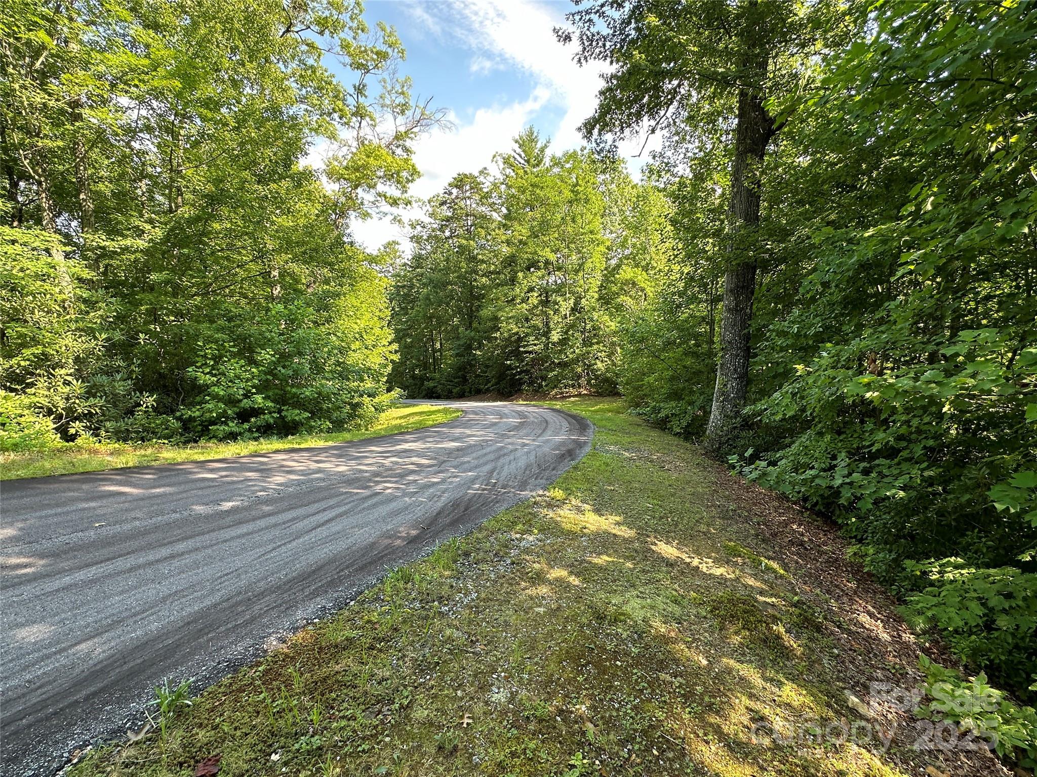 67 Peppervine Circle Rosman NC 28772