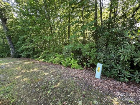 67 Peppervine Circle Rosman NC 28772