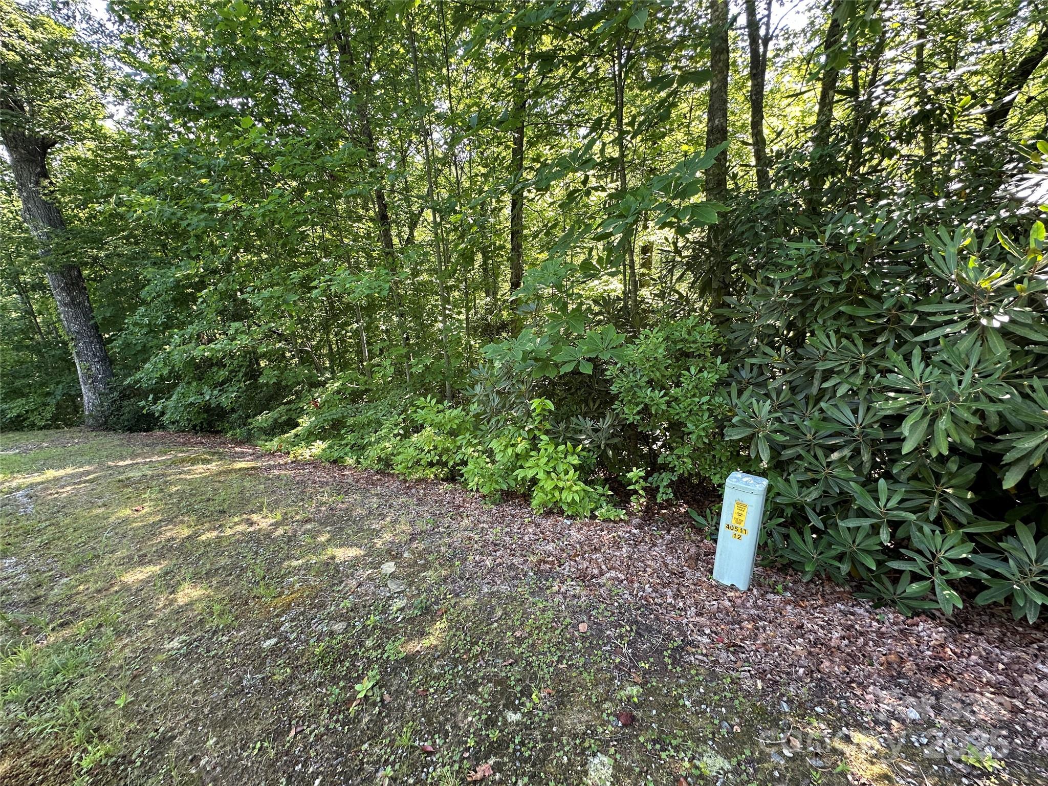 67 Peppervine Circle Rosman NC 28772
