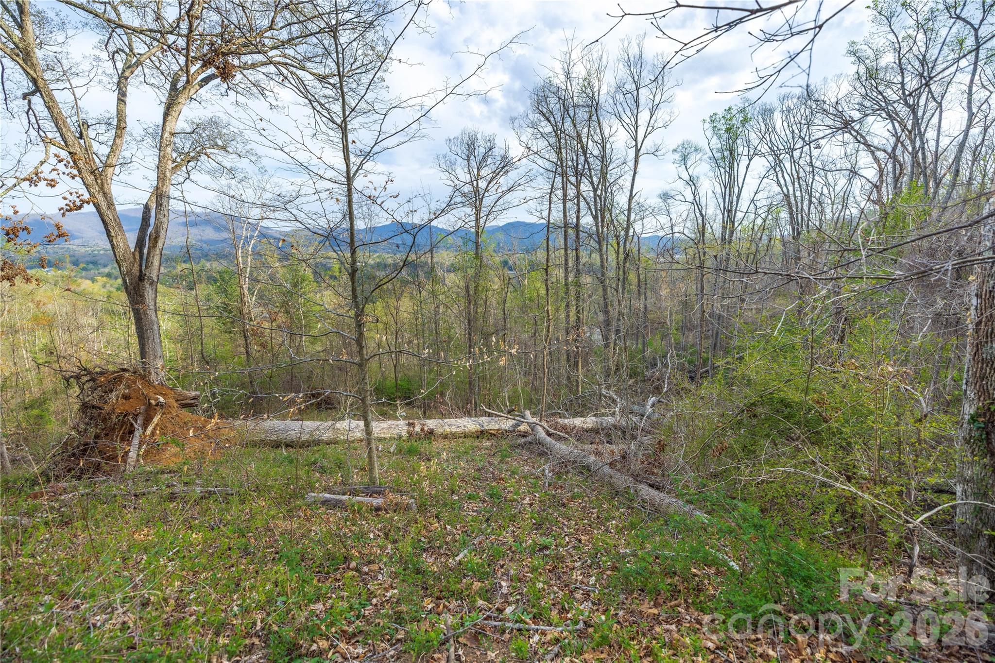 Lot 2 Wake Robin Way Asheville NC 28805