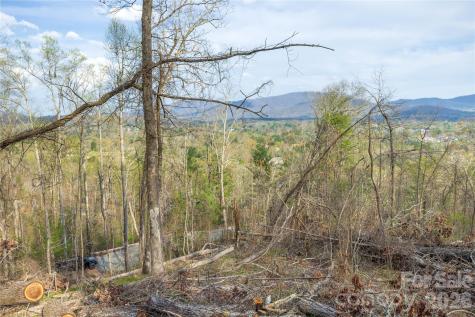 Lot 2 Wake Robin Way Asheville NC 28805