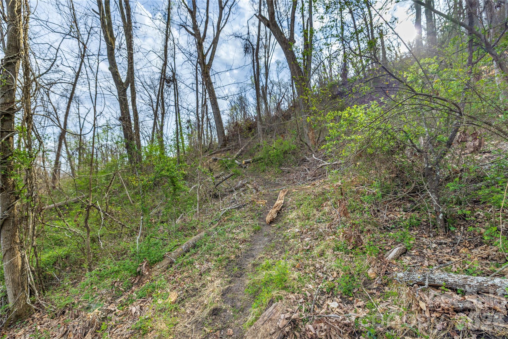 Lot 2 Wake Robin Way Asheville NC 28805