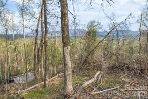 Lot 2 Wake Robin Way Asheville NC 28805