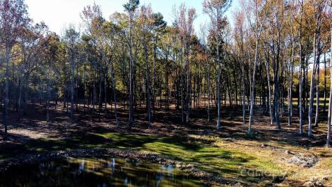00 Waxhaw Highway Mineral Springs NC 28108