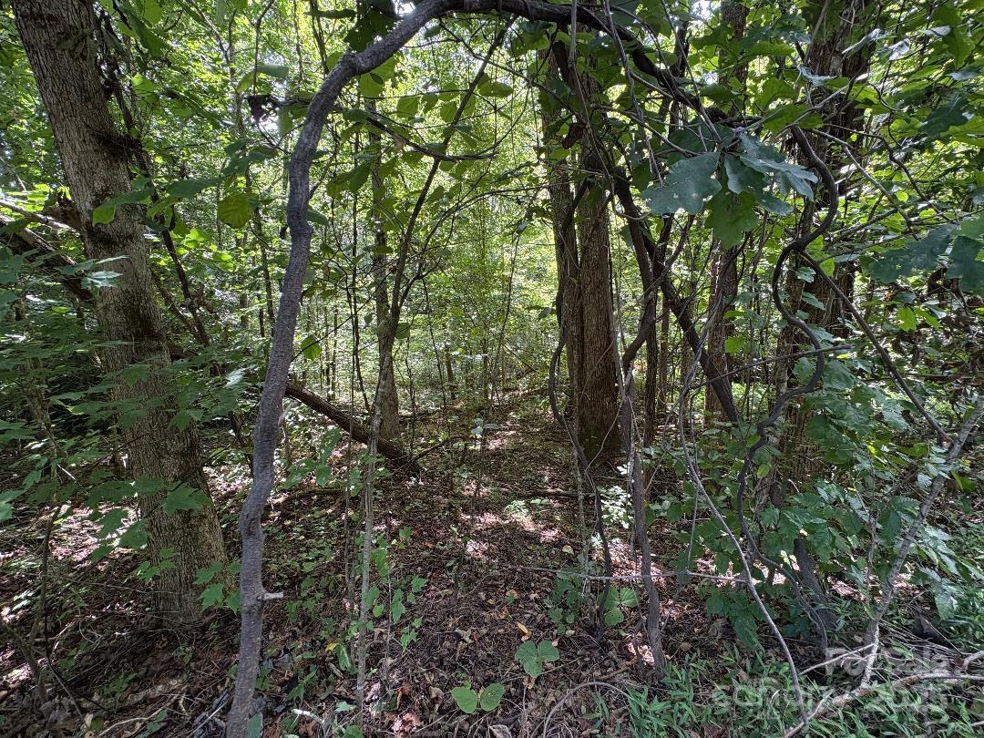 Lots 14,15,24 French Mountain Drive Marion NC 28752