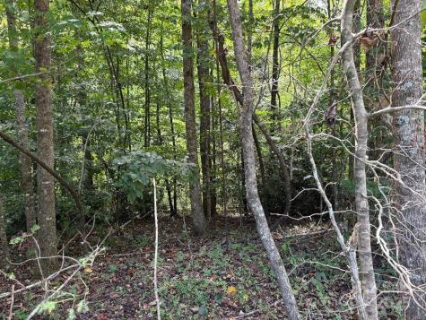 Lots 14,15,24 French Mountain Drive Marion NC 28752