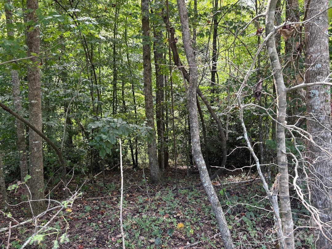 Lots 14,15,24 French Mountain Drive Marion NC 28752