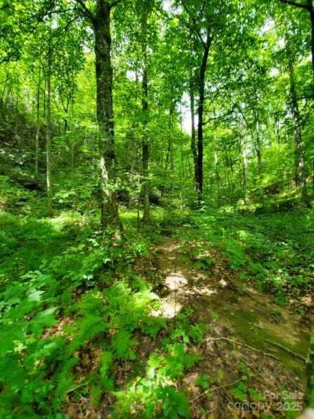 Lots 14,15,24 French Mountain Drive Marion NC 28752