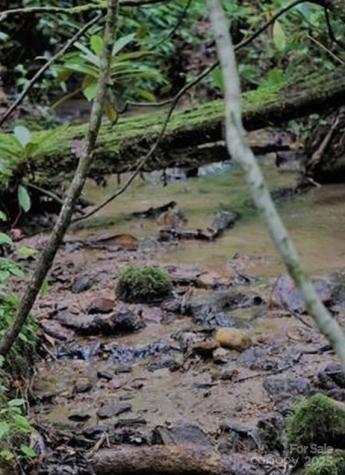 Lots 14,15,24 French Mountain Drive Marion NC 28752