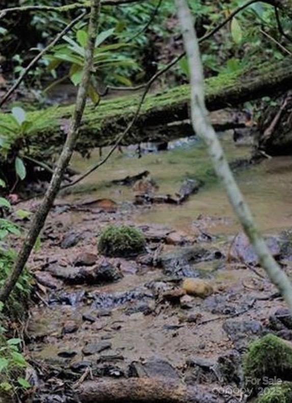 Lots 14,15,24 French Mountain Drive Marion NC 28752