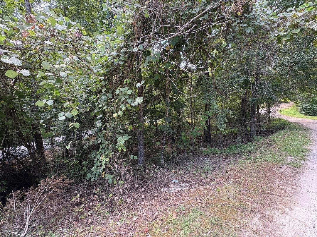 Lots 14,15,24 French Mountain Drive Marion NC 28752