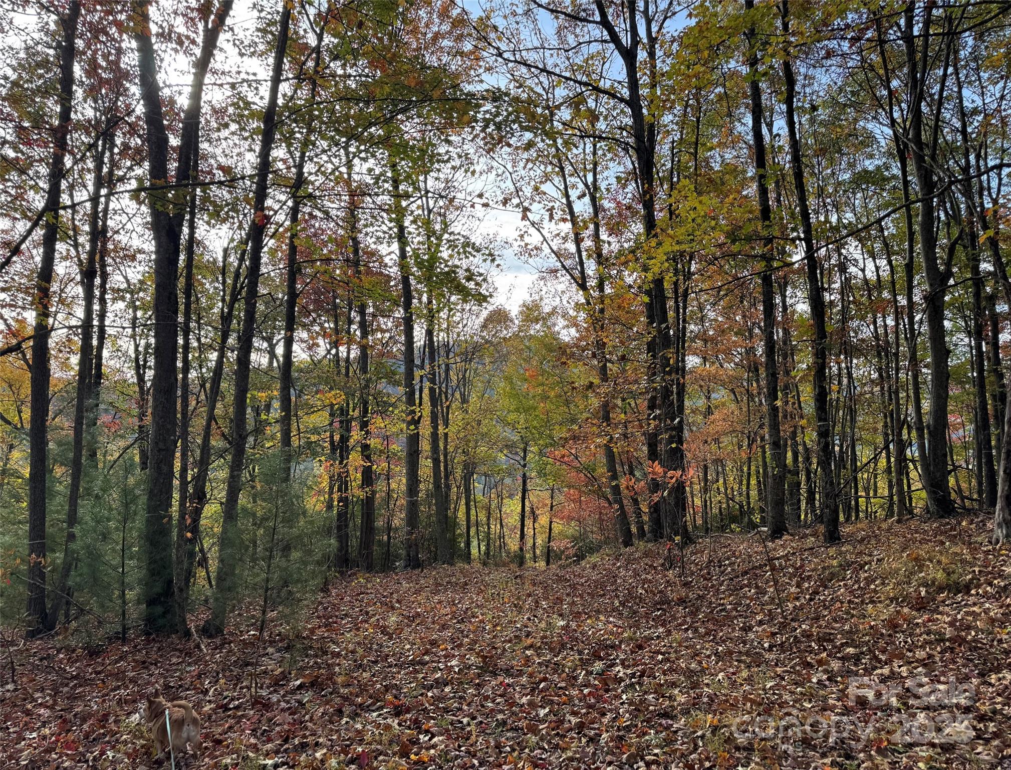 Arden NC, 692 Blue Mist Way