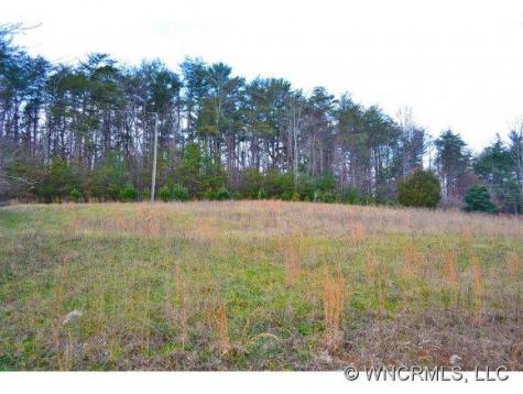 141 Meadow Run Drive Mills River NC 28759