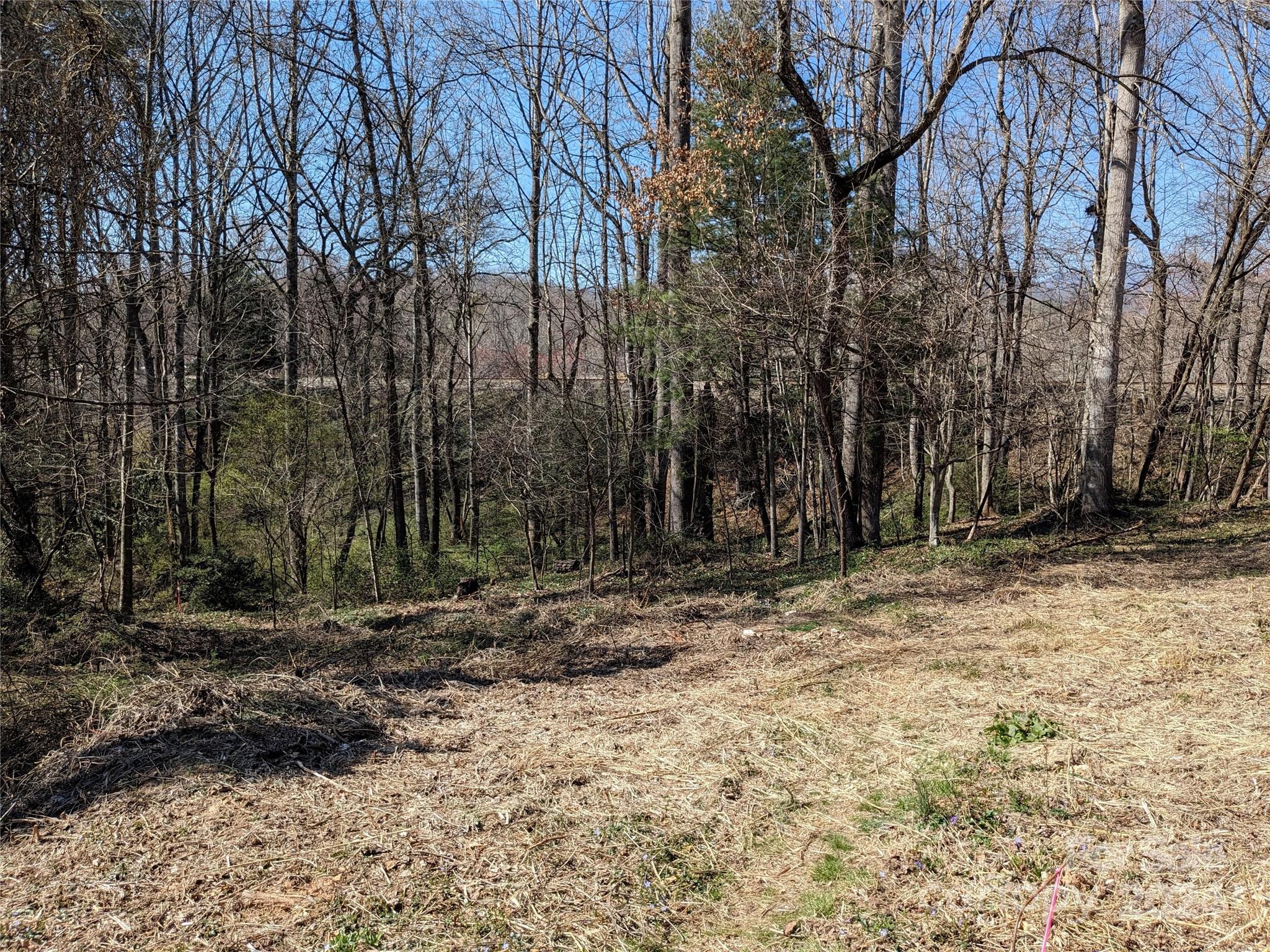 99999 Amy's Way Black Mountain NC 28711