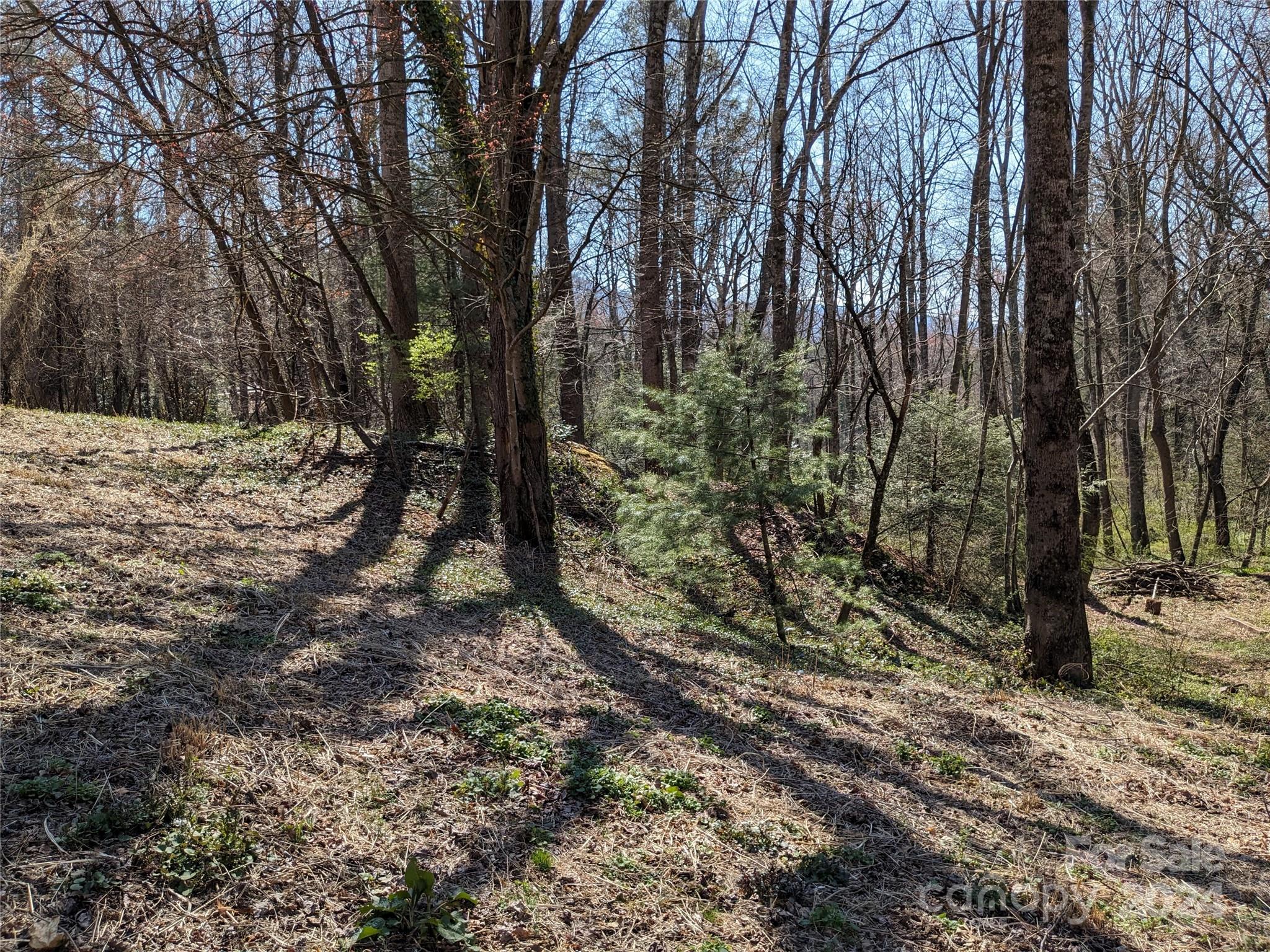 99999 Amy's Way Black Mountain NC 28711