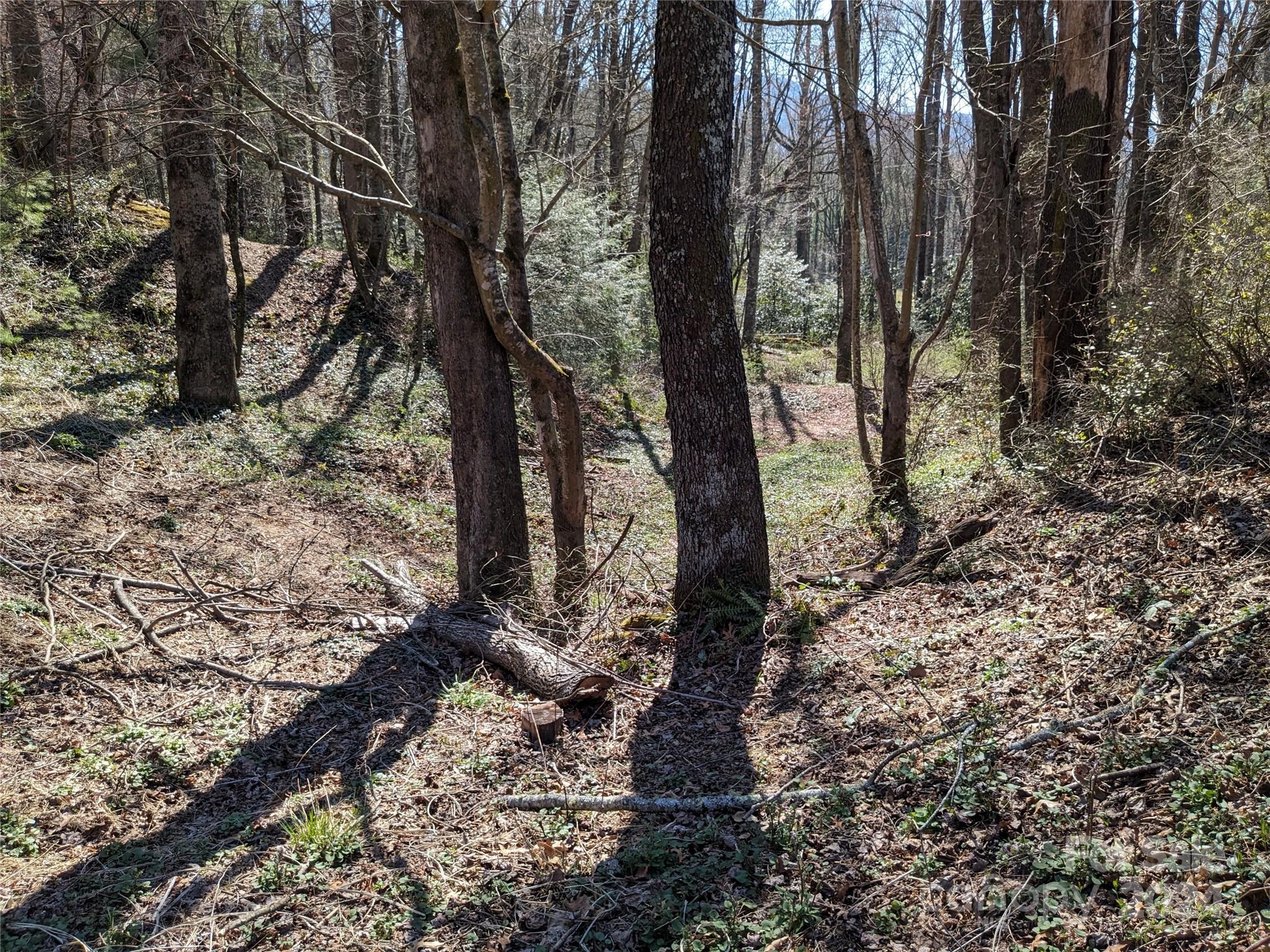 99999 Amy's Way Black Mountain NC 28711