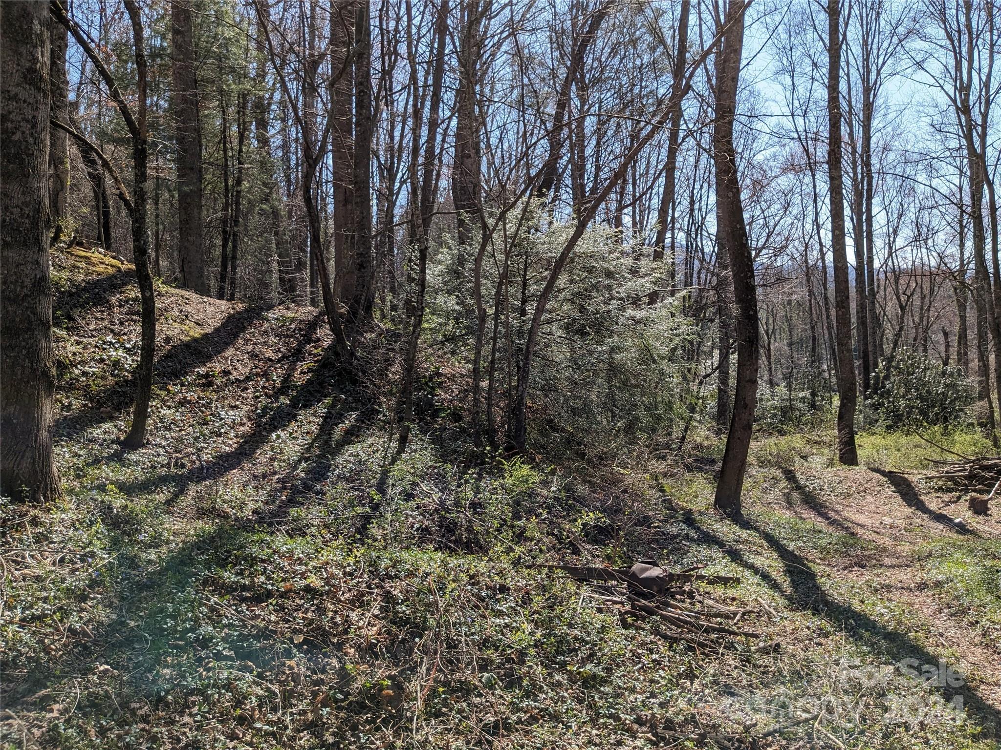 99999 Amy's Way Black Mountain NC 28711