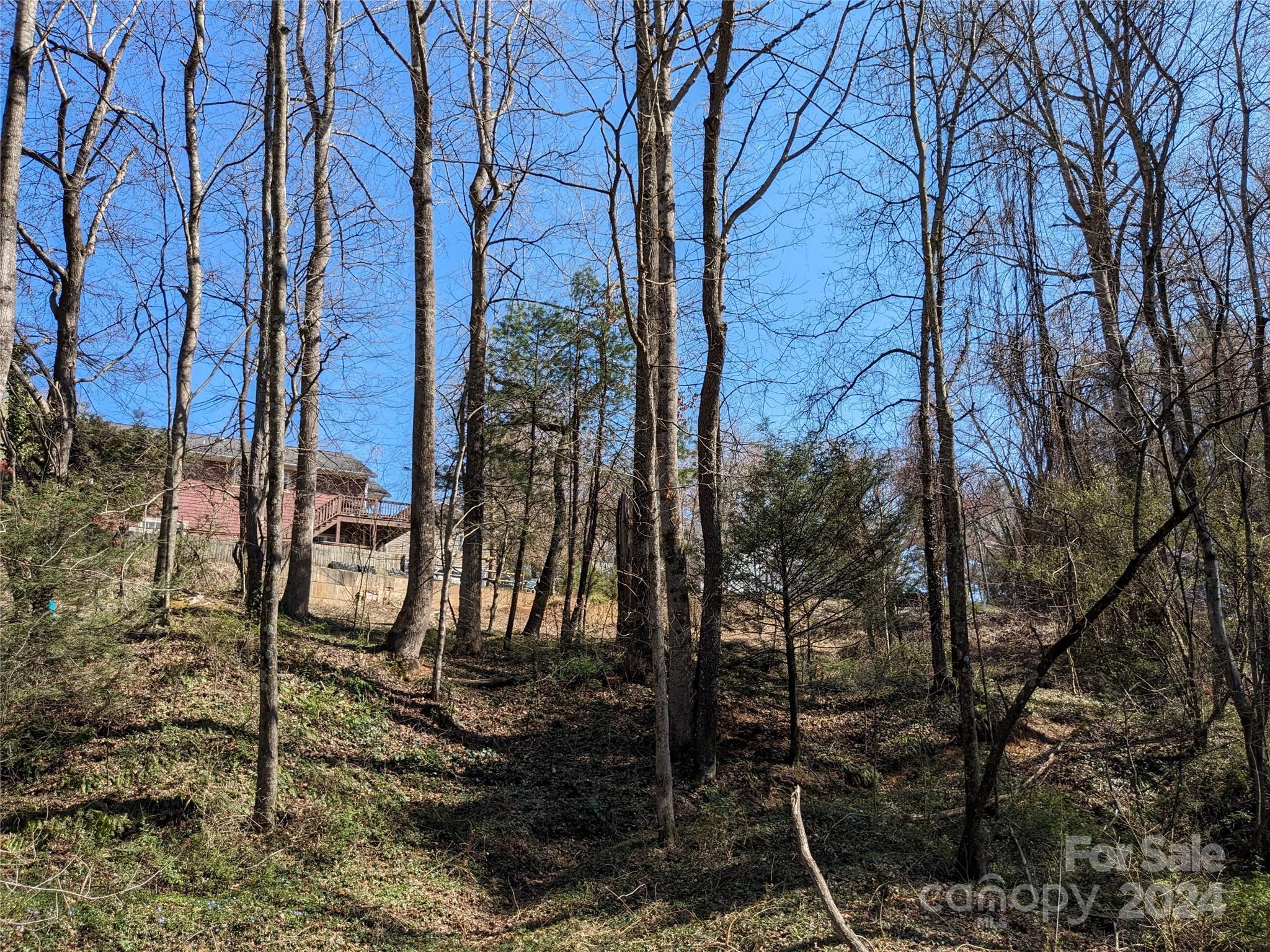 99999 Amy's Way Black Mountain NC 28711