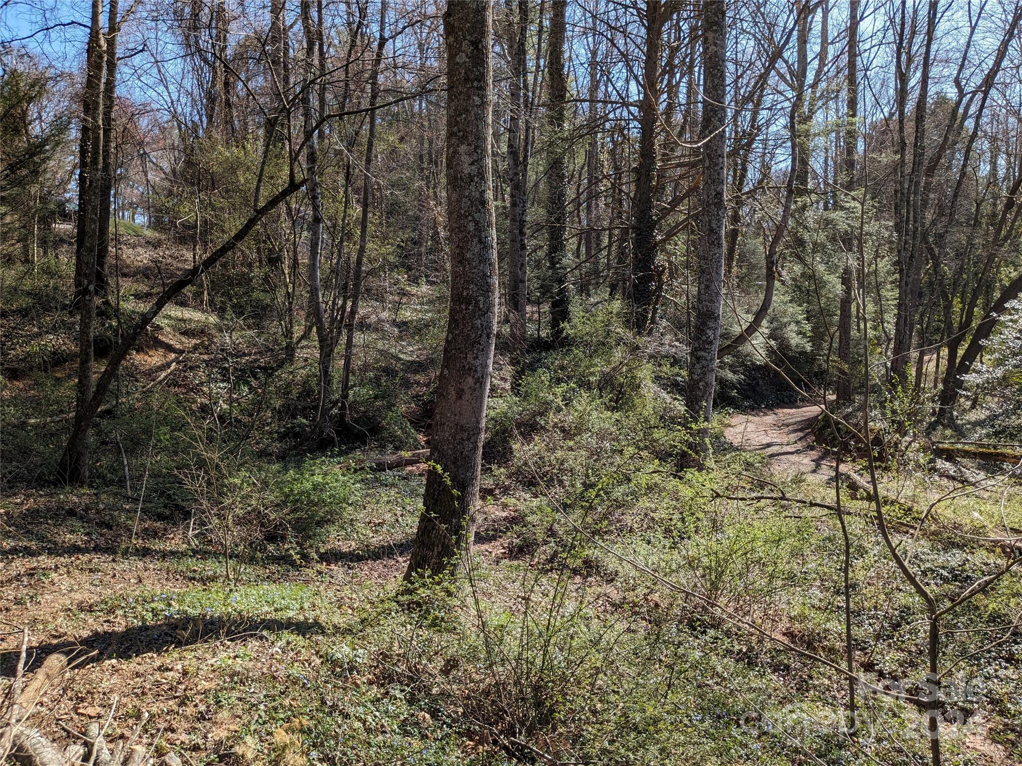 99999 Amy's Way Black Mountain NC 28711