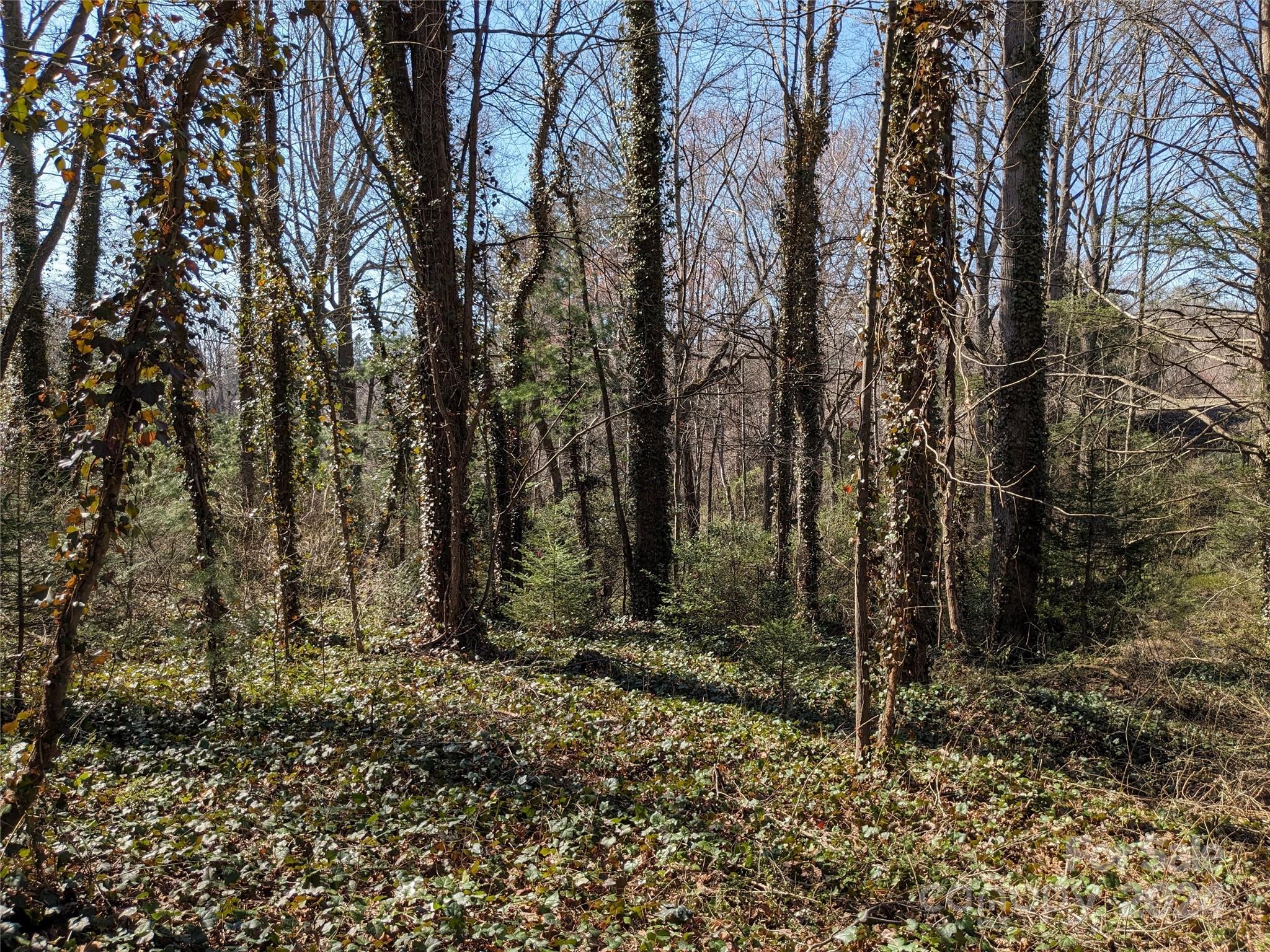 99999 Amy's Way Black Mountain NC 28711