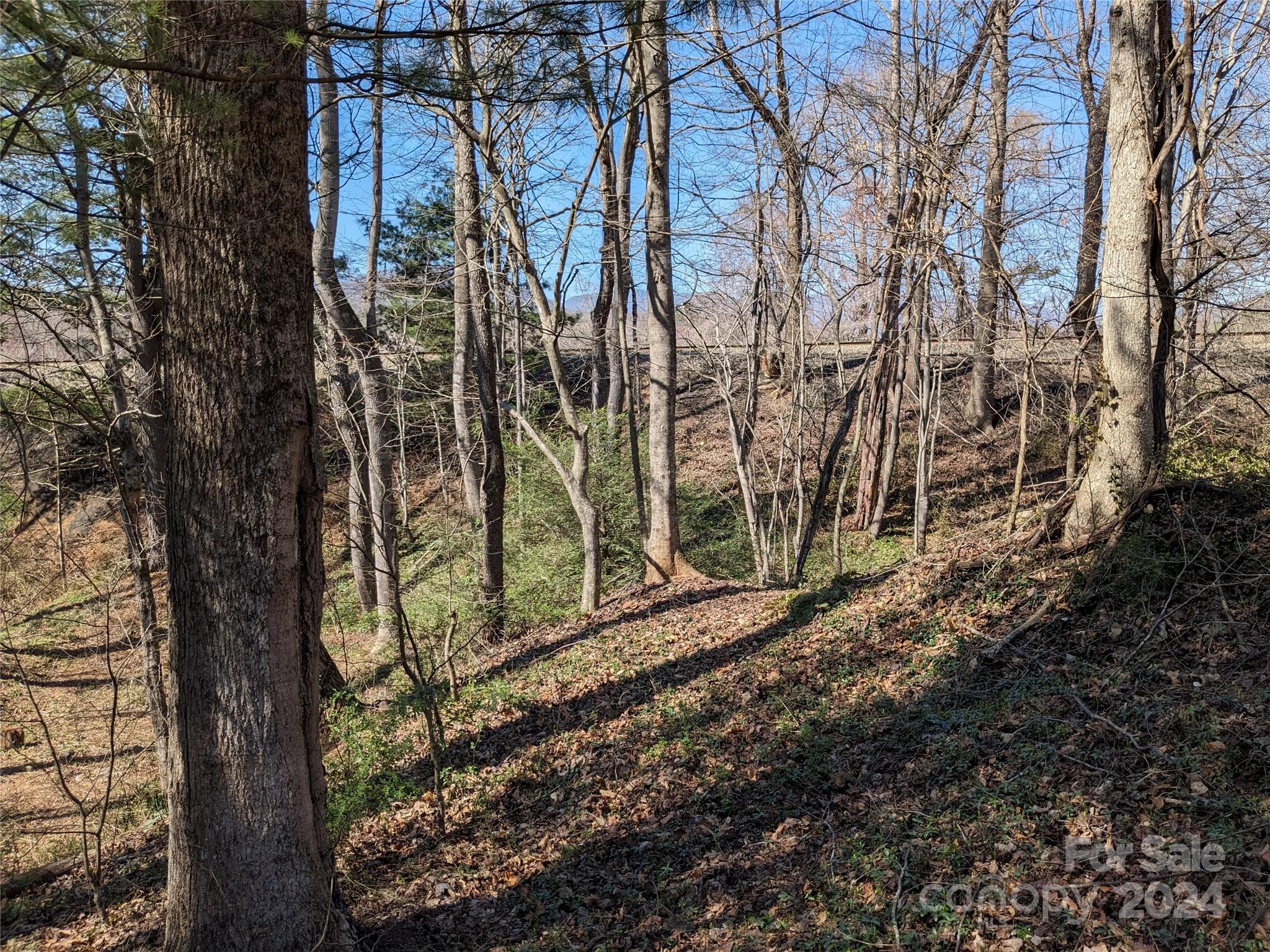 99999 Amy's Way Black Mountain NC 28711