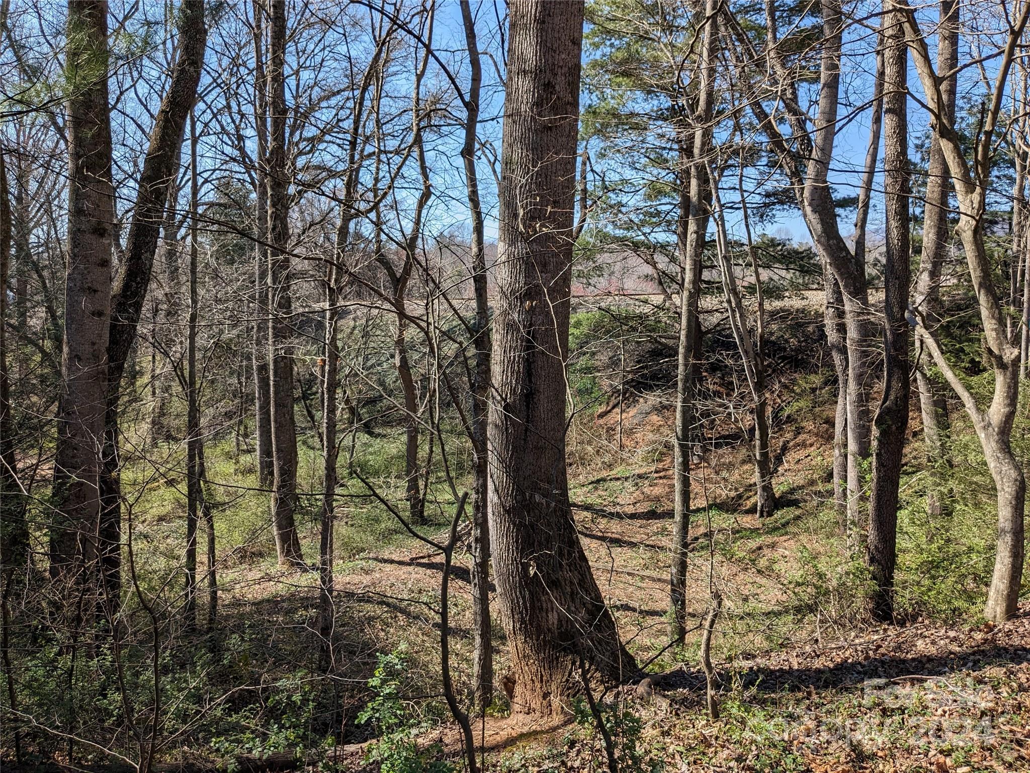 99999 Amy's Way Black Mountain NC 28711