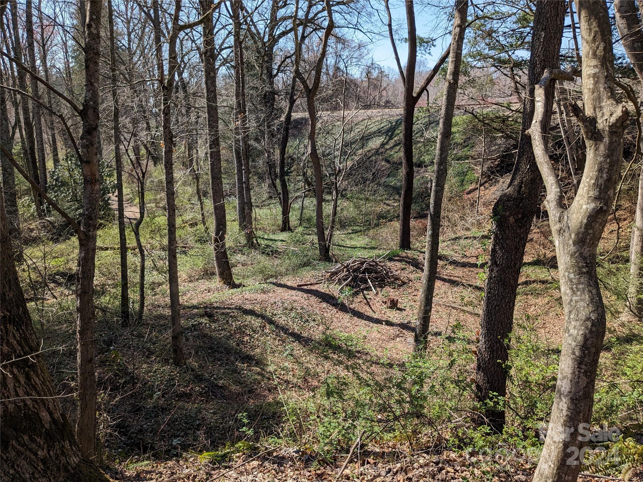 99999 Amy's Way Black Mountain NC 28711