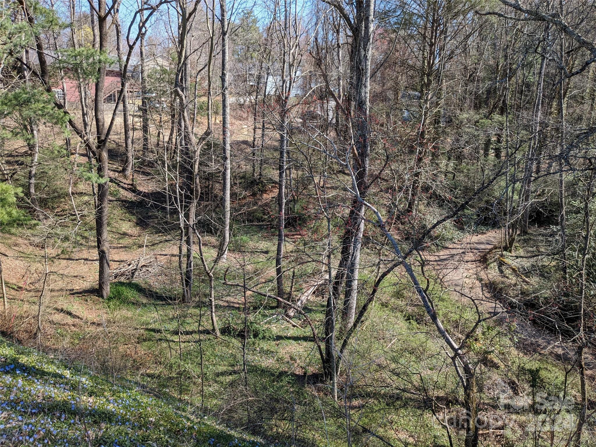 99999 Amy's Way Black Mountain NC 28711