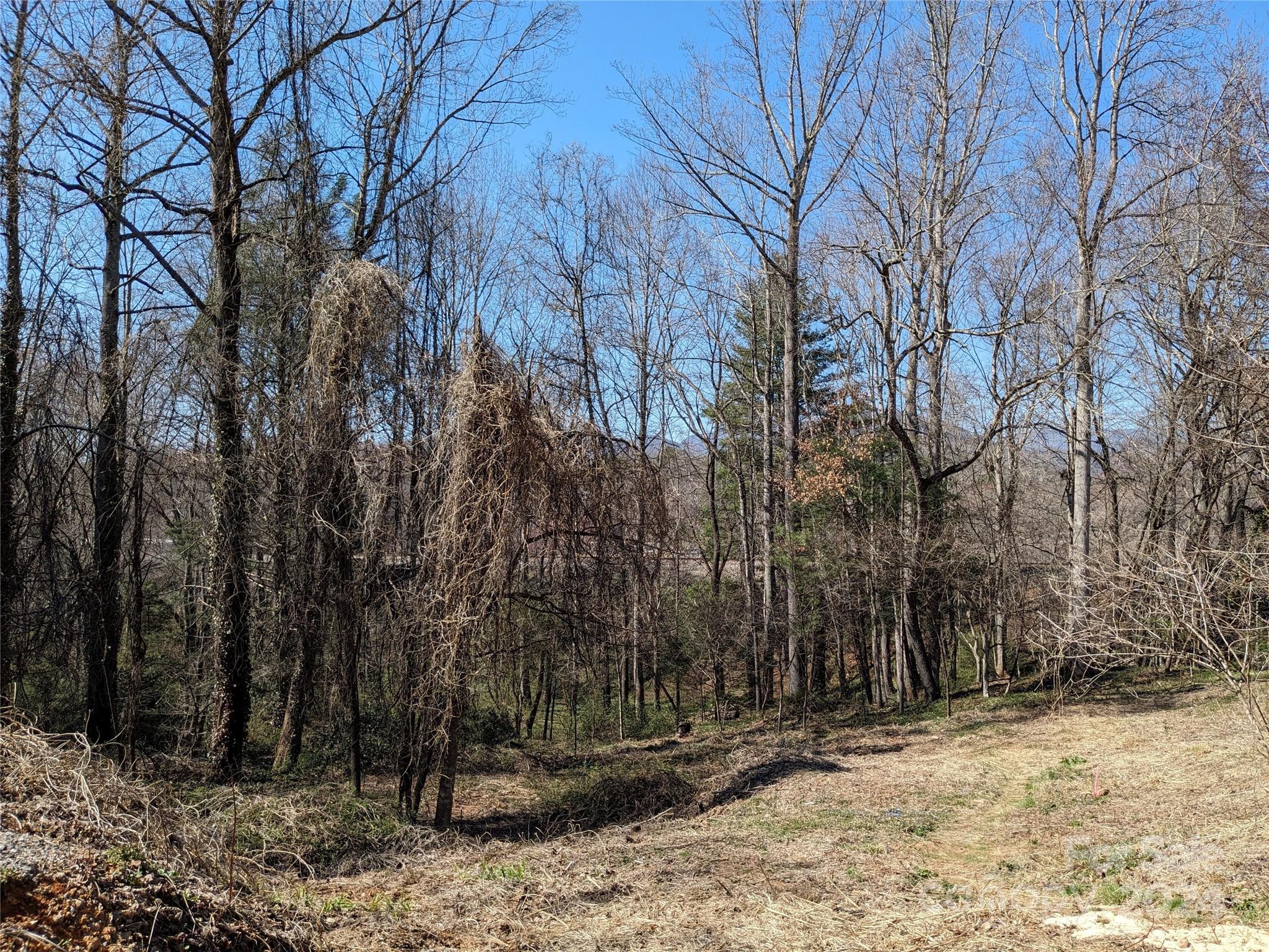 99999 Amy's Way Black Mountain NC 28711