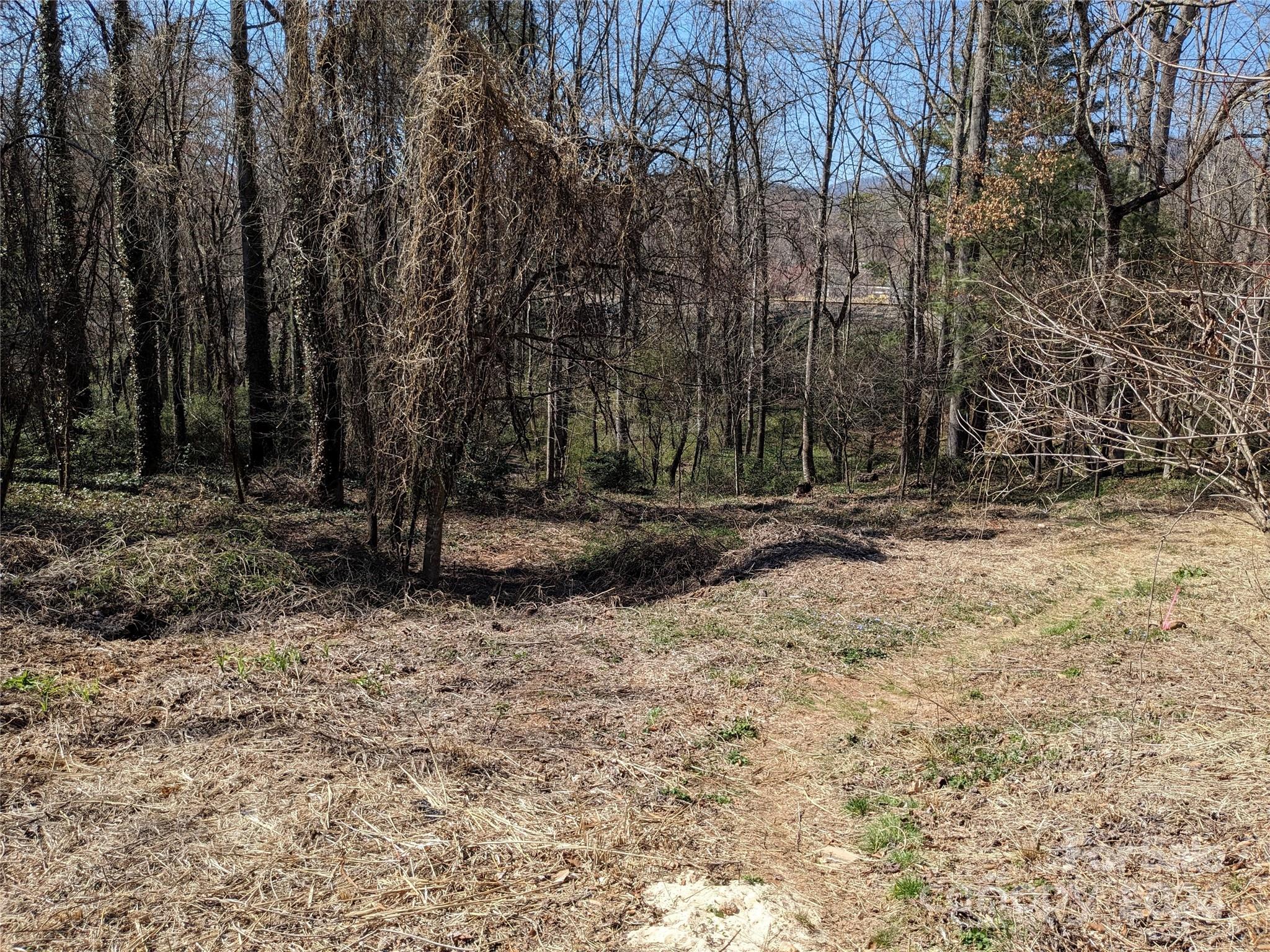 99999 Amy's Way Black Mountain NC 28711