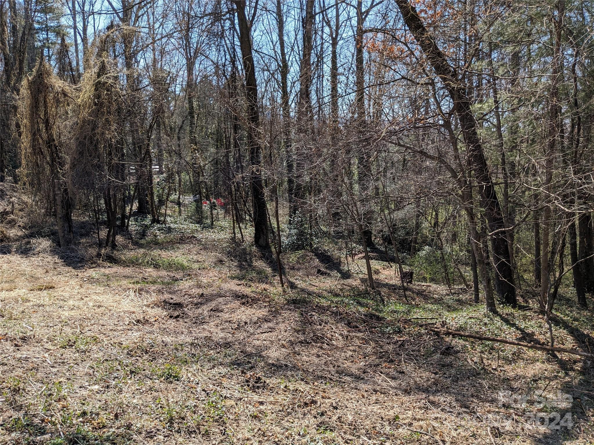 99999 Amy's Way Black Mountain NC 28711