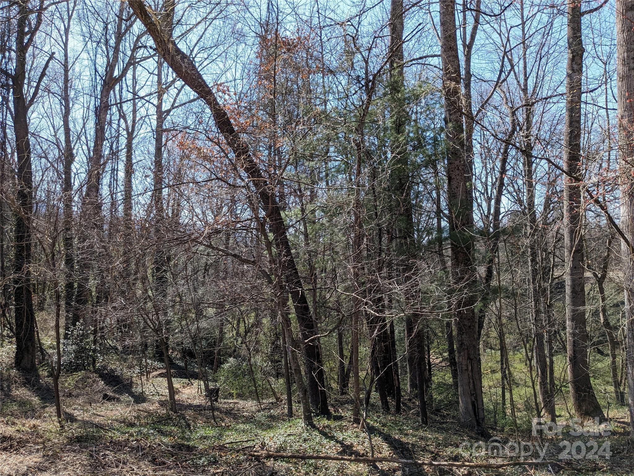 99999 Amy's Way Black Mountain NC 28711