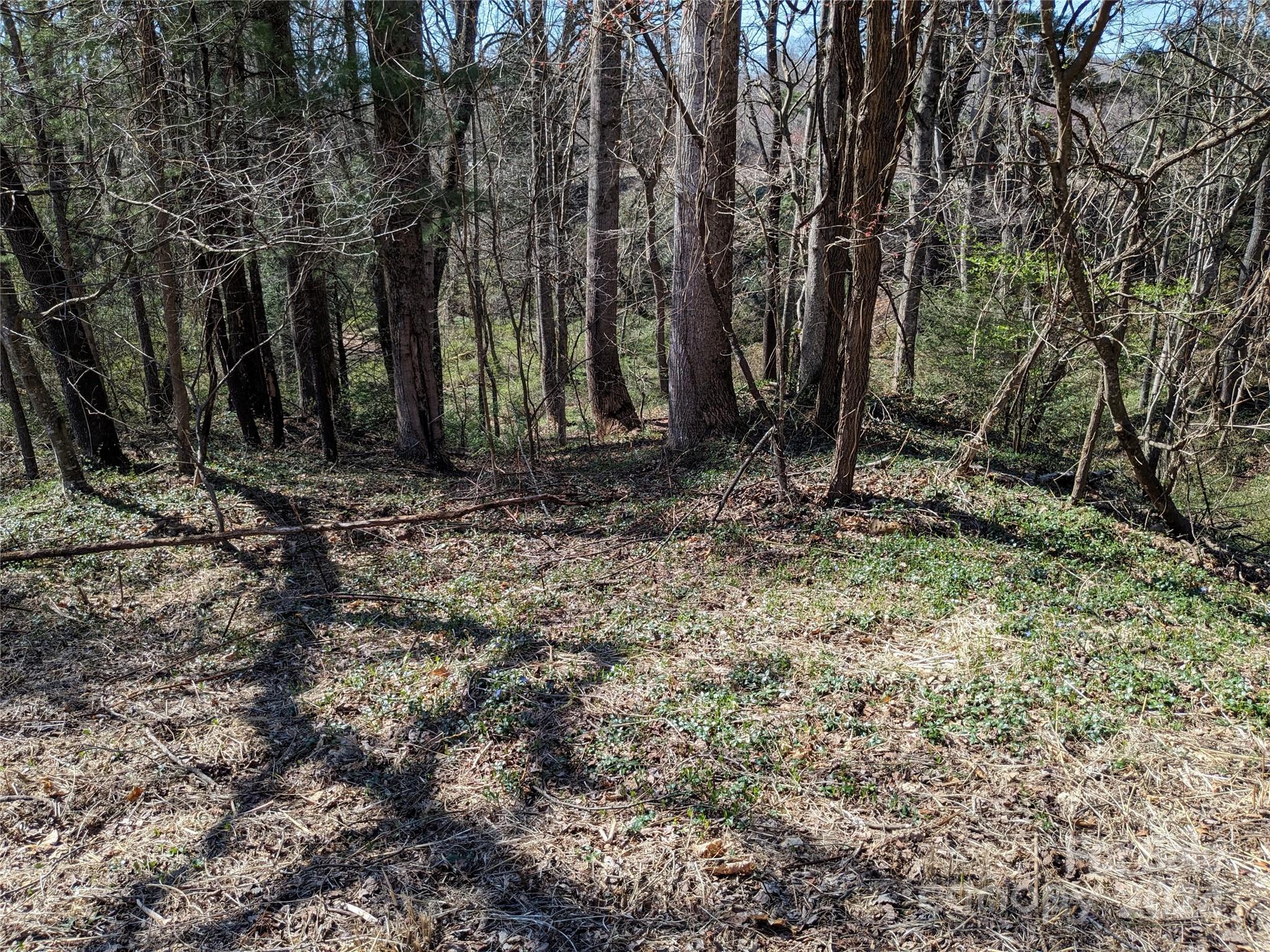 99999 Amy's Way Black Mountain NC 28711
