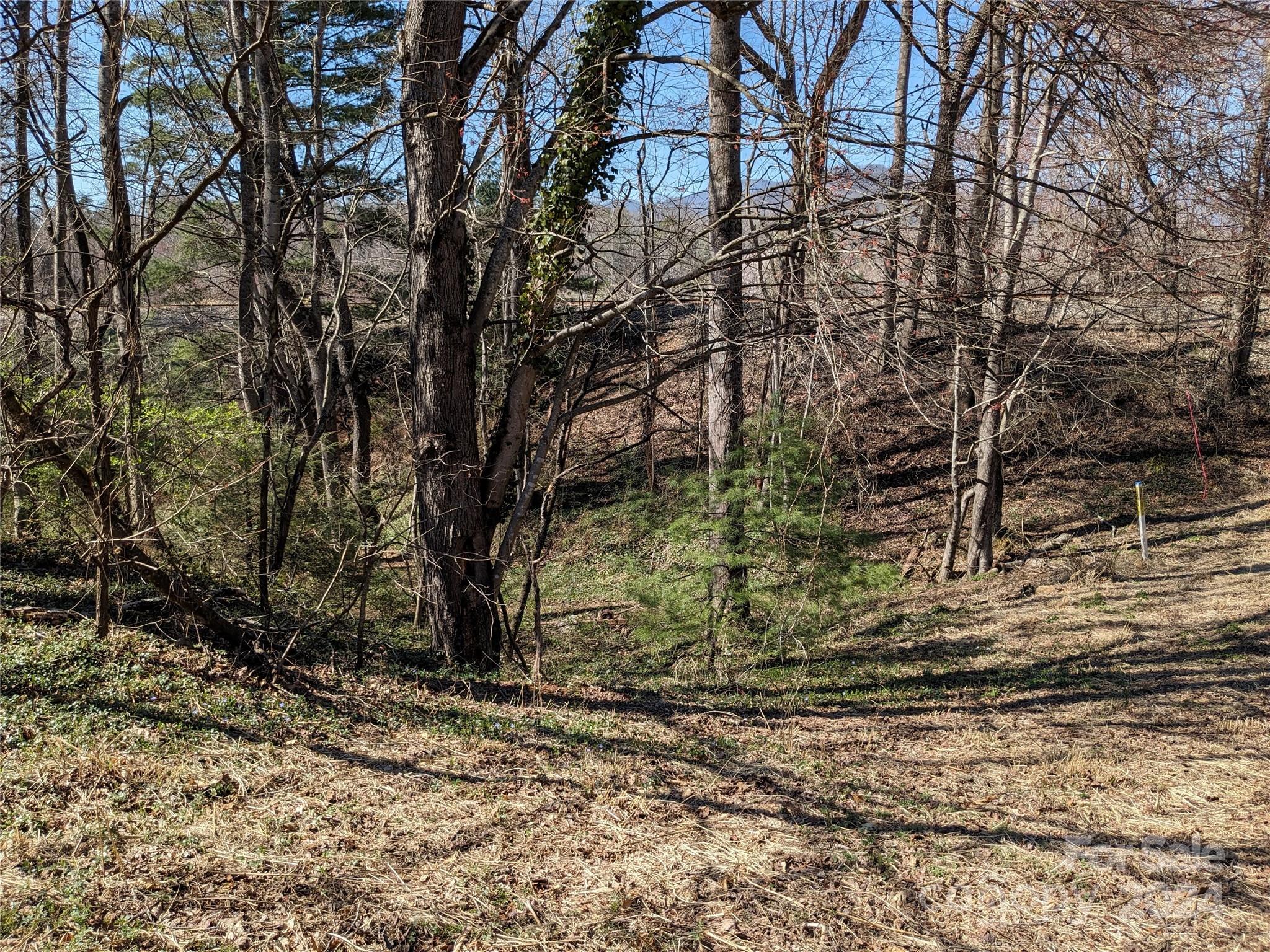 99999 Amy's Way Black Mountain NC 28711