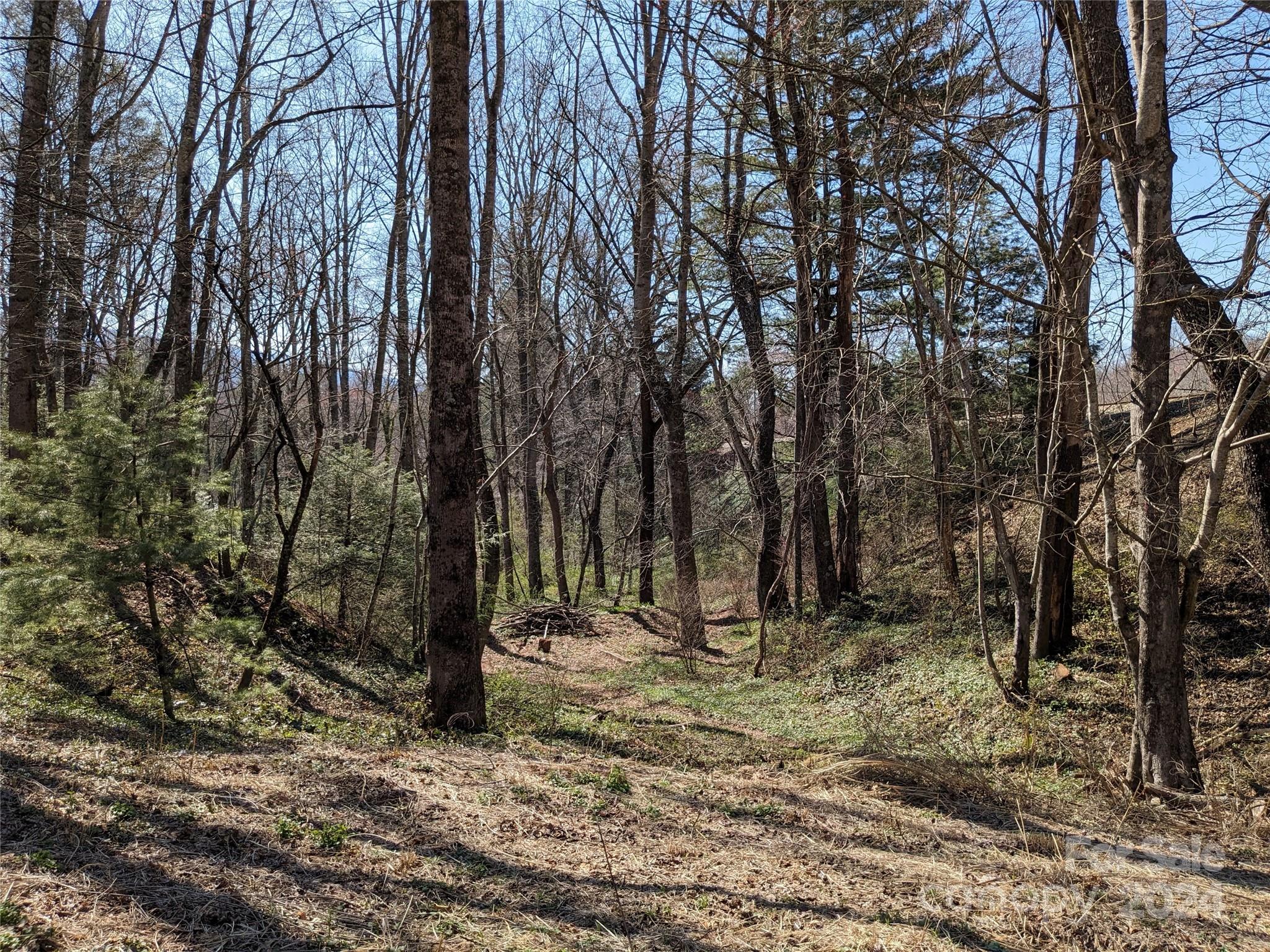 99999 Amy's Way Black Mountain NC 28711