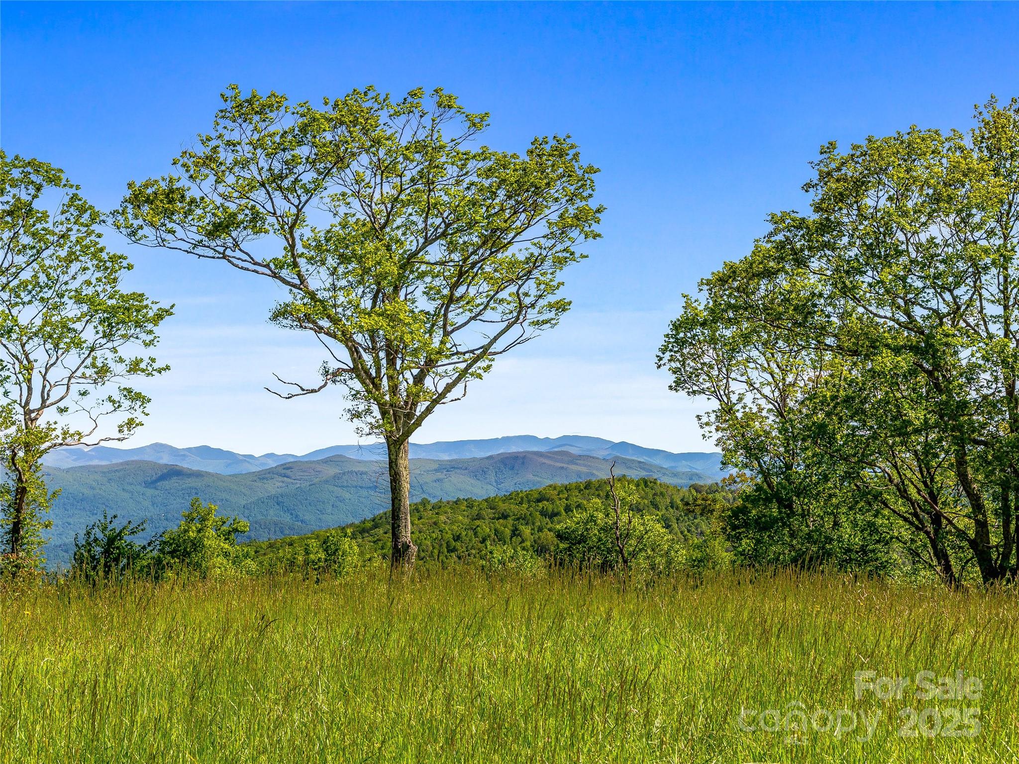99999 Snow Ridge Drive Hendersonville NC 28792