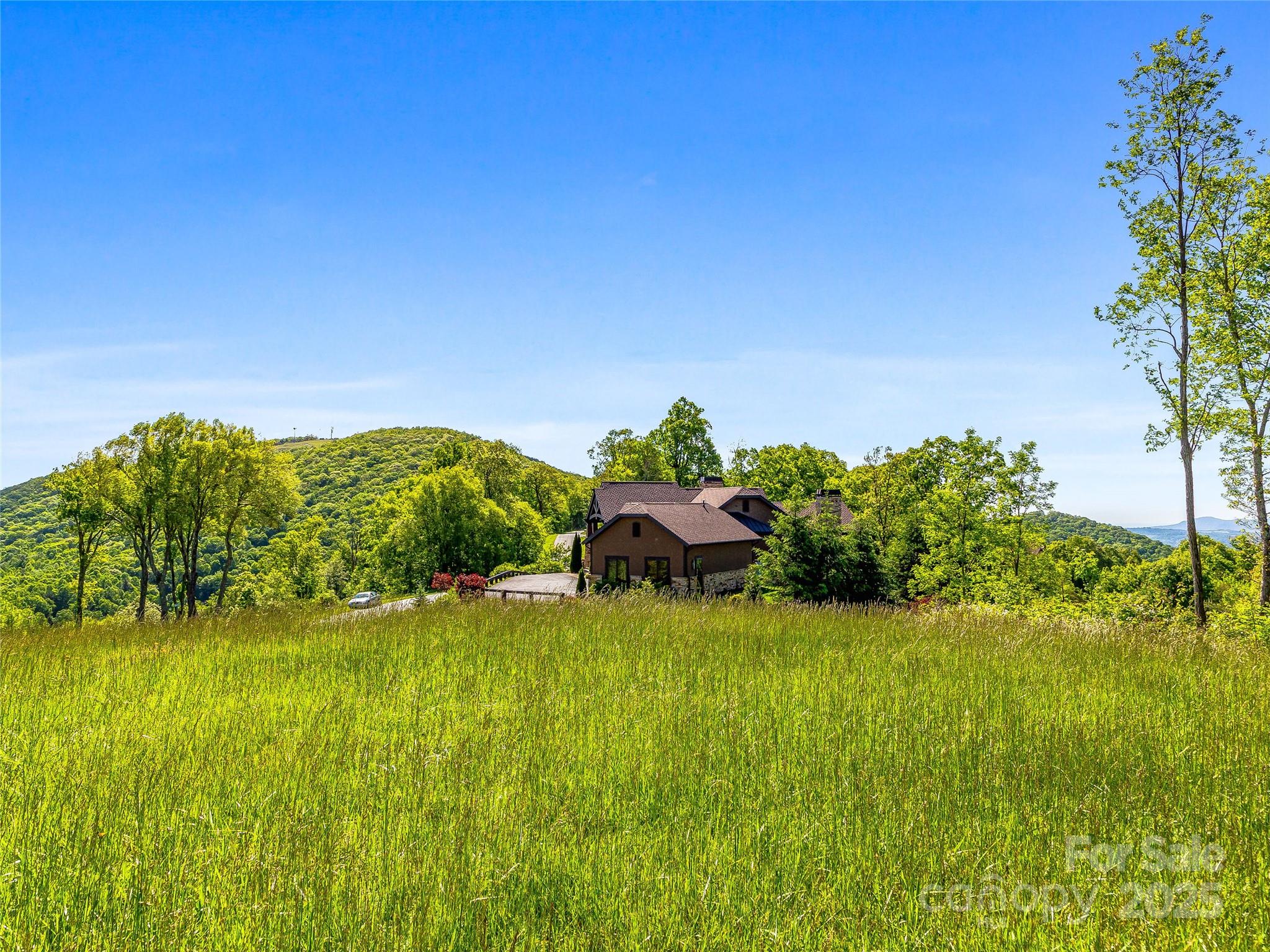 99999 Snow Ridge Drive Hendersonville NC 28792