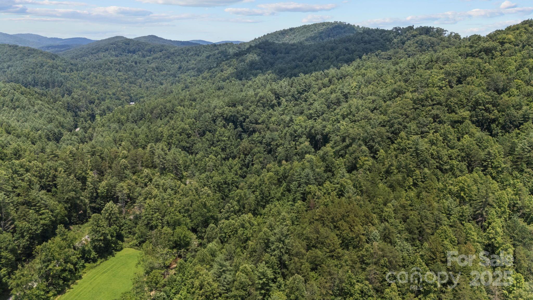 1296 Sheets Gap Road Millers Creek NC 28651