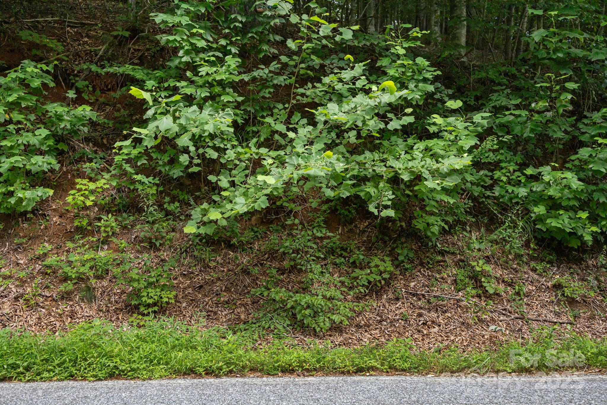 1296 Sheets Gap Road Millers Creek NC 28651