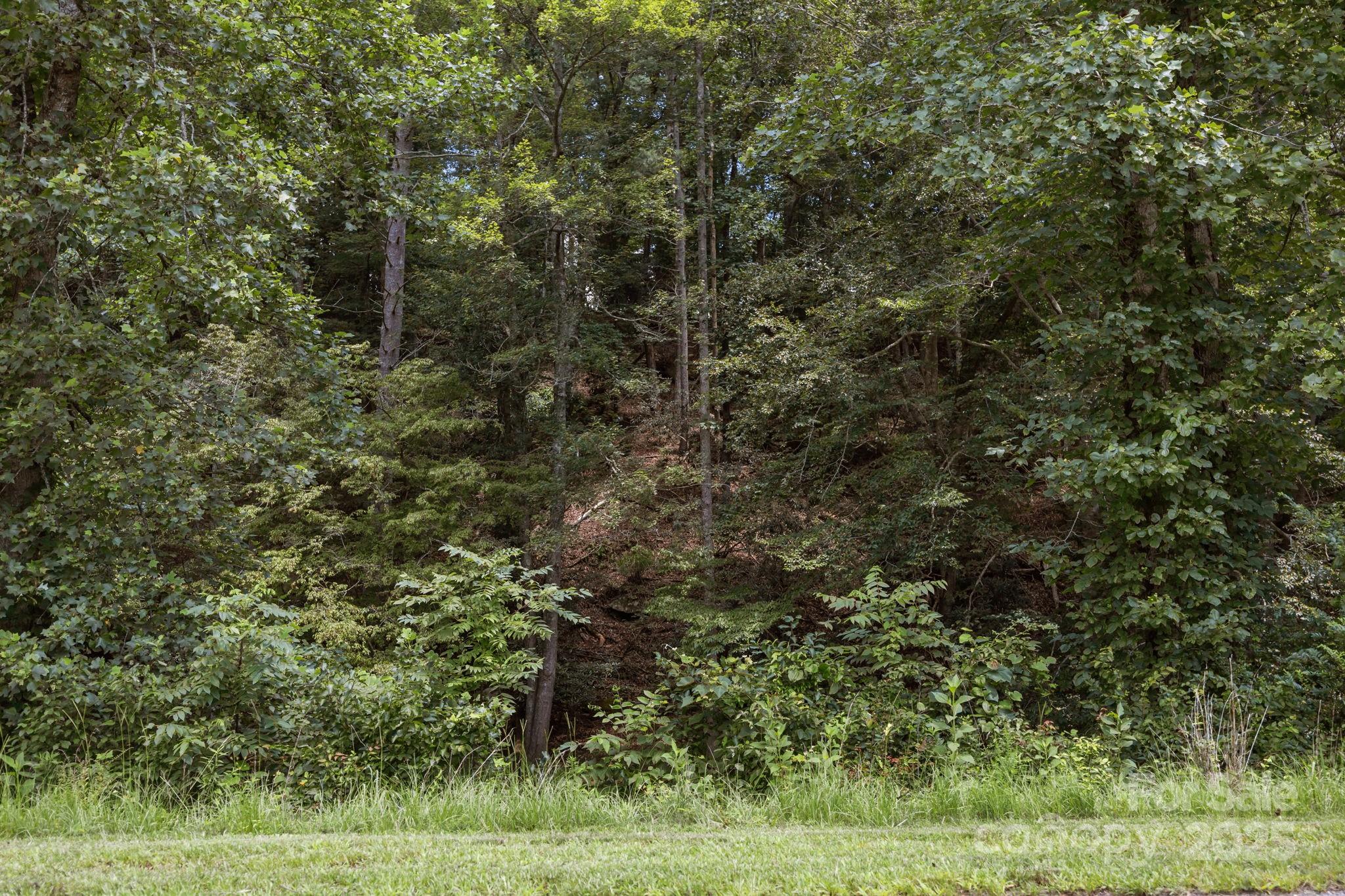 1296 Sheets Gap Road Millers Creek NC 28651