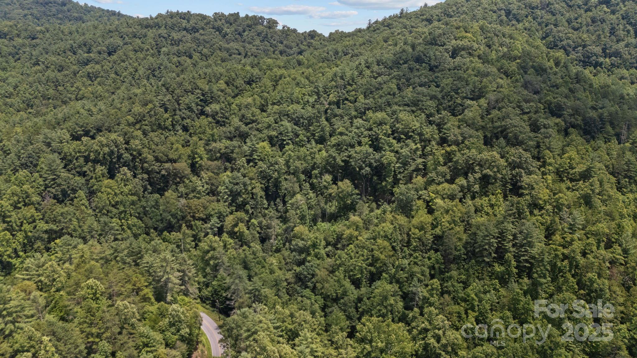 1296 Sheets Gap Road Millers Creek NC 28651
