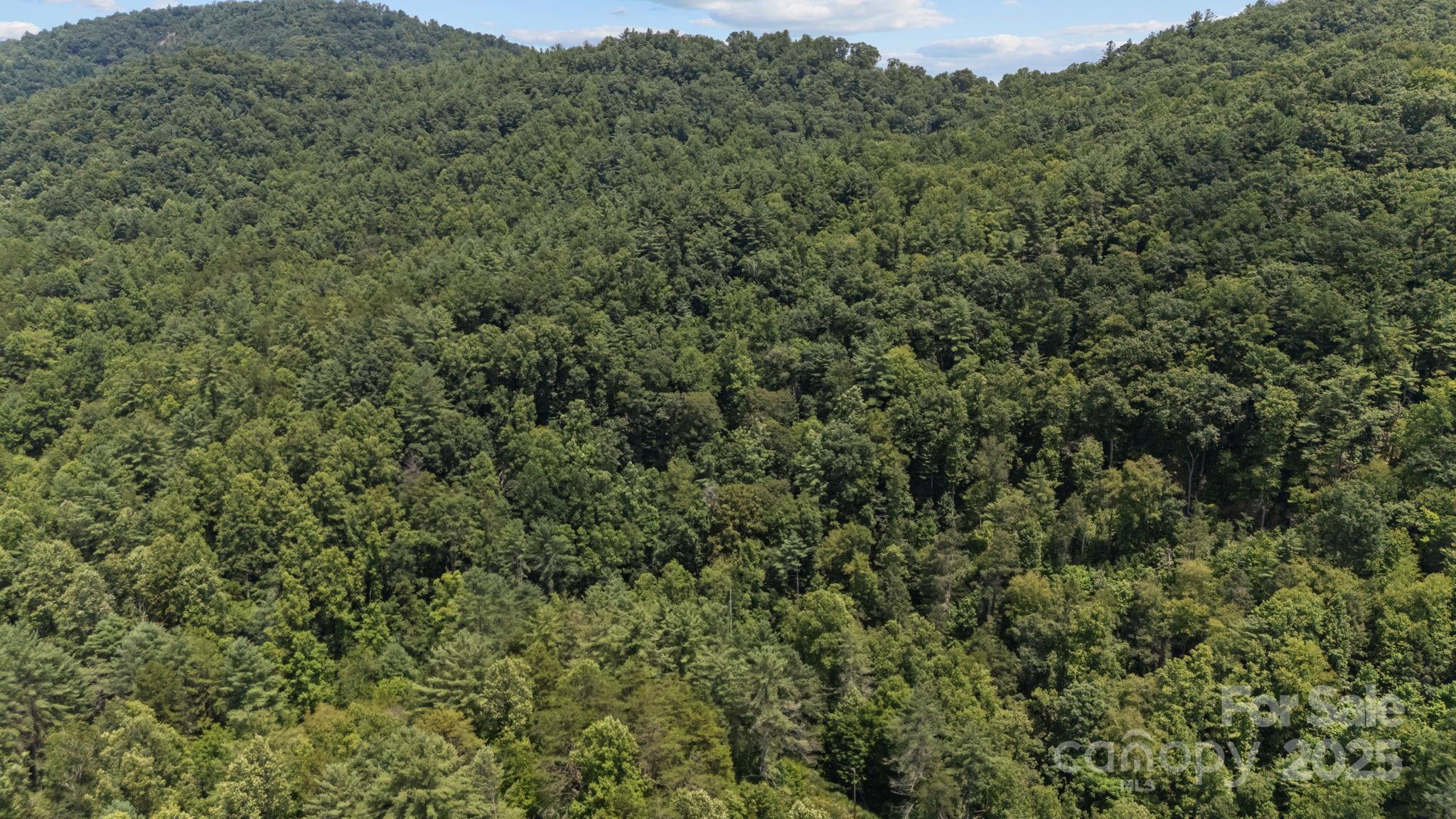 1296 Sheets Gap Road Millers Creek NC 28651