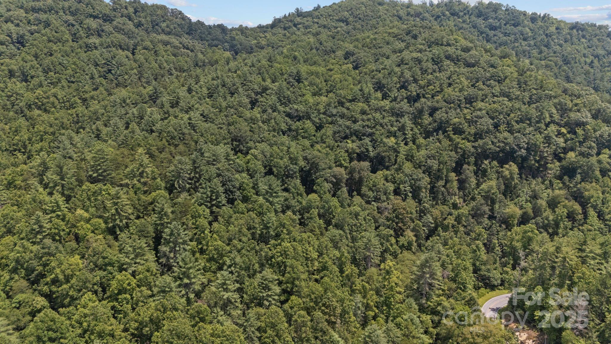 1296 Sheets Gap Road Millers Creek NC 28651