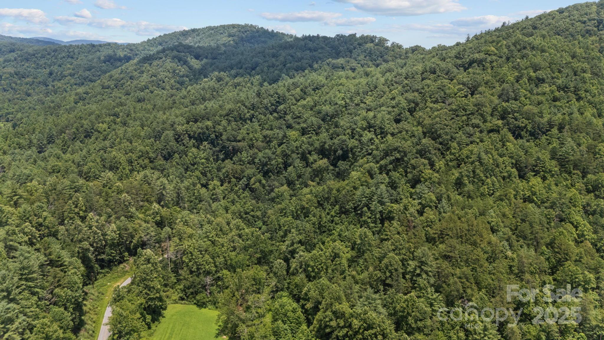 1296 Sheets Gap Road Millers Creek NC 28651
